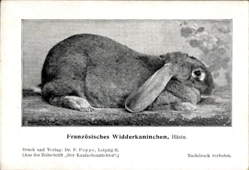 Französisches - ak,