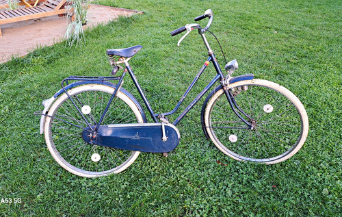 Gazelle safari damen - damen, bike