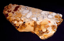 Königskobra-Jaspis, Indien