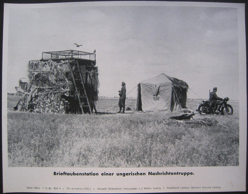 1942 ungarichen - 7.12.1942,