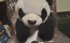 TY PANDA ? PANDABÄR. TY CLASSIC  VON 2001. aus Sammlung