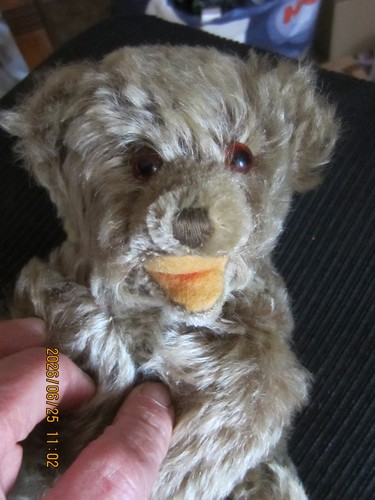 Steiff floppy zotty teddybär - steiff,