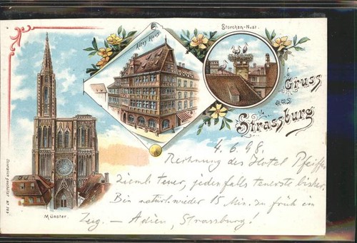 Strasbourg alsace storchennest - alsace,