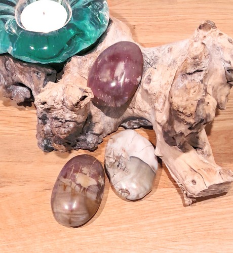 Versteinertes holz - versteinertes,