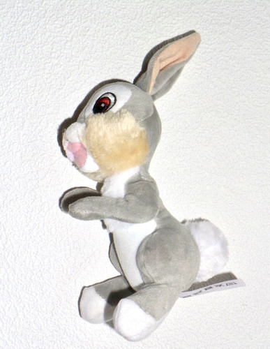 Wie neu hase klopfer - wie,