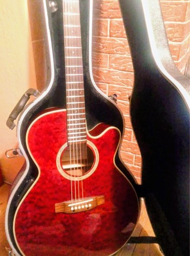 Elektroakustik gitarre - elektroakustik,