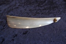 Vintage Schuhlöffel Schuhanzieher aus Horn