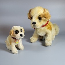 Steiff: größter Berhardiner * Bernie * 22 cm * sitzend *