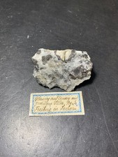 Akanthit, ged. Silber, Freiberg, Erzgebirge, Sachsen