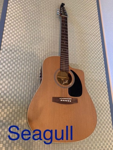 Akustikgitarre seagull cw - e-akustikgitarre, s6+cw