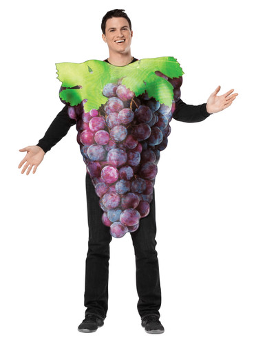 Weintrauben kostüm obst - kostüm,