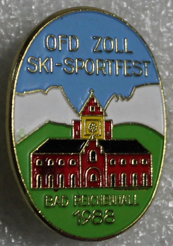 Ski alpin abzeichen - ski,