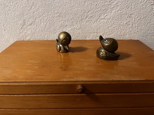 Giuseppe gallo küken - küken, /