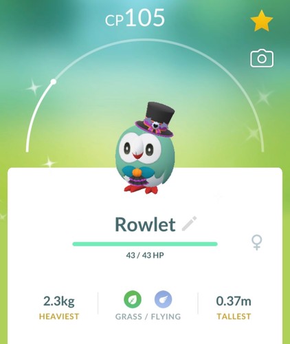 Neu shiny rowlett halloween - neu,