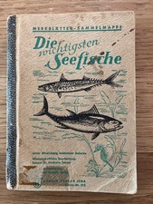 DDR Urania Verlag Jena  Merkblätter Tafel Sammelmappe Die wichtigsten Seefische