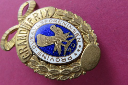 Grand prix vogelzucht tauben - vogelzucht,