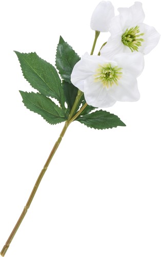 Dpi helleborus kunstblume - helleborus,