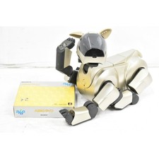 Current condition SONY Aibo