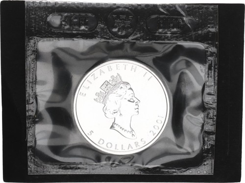 Kanada dollar 1oz silber - kanada,