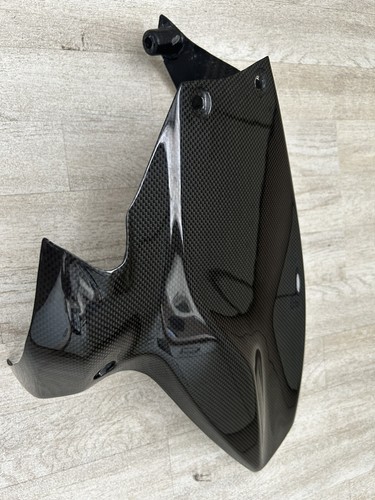 Ducati 1299 carbon kotflügel - ducati,