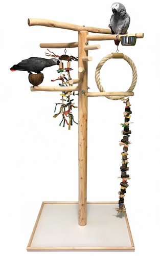 Freisitz für papageien vögel - für, papageien/vögel