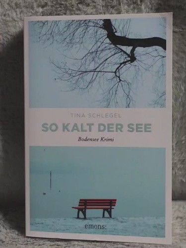 Kalt der see bodensee - so,