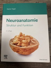 Neuroanatomie Struktur und