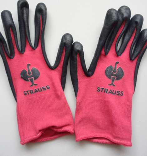Strauss garten - 🏇🏾e.strauss,