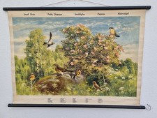 Schulwandkarte Rollkarte Klein