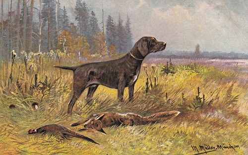Jagd jagdhund mit beute - beute,