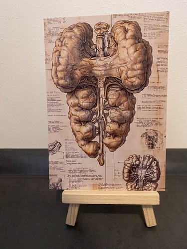 Postkarte motivkarte - postkarte,