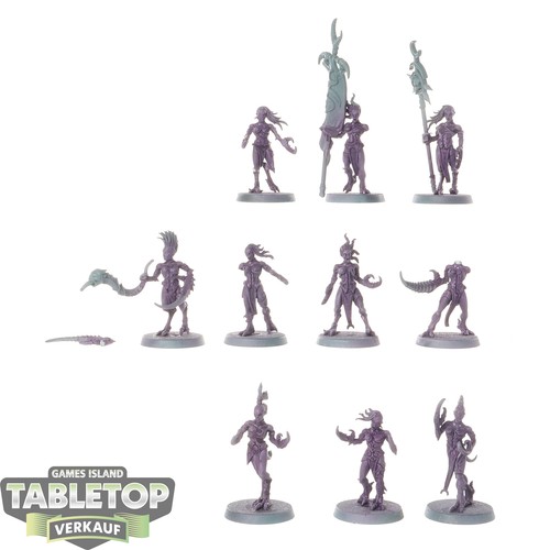 Hedonites slaanesh 10x - slaanesh,