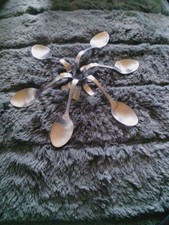 6 Stück Beilagenlöffel - Sahnelöffel- Rahmlöffel - Servierlöffel - gebogen -