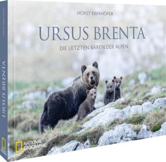 Ursus brenta die - brenta,