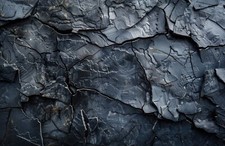 Fototapete VLIES-SCHWARZ