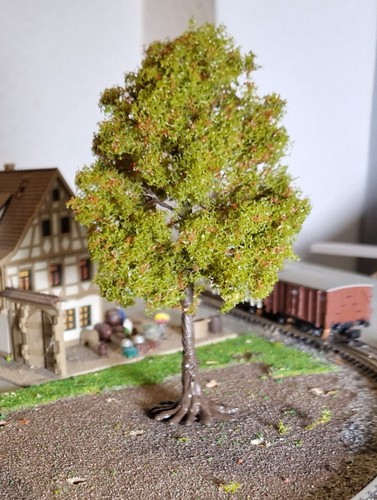 Eine kastanie kastanienbaum - eine, kastanie.