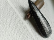 Belemniten zwei, 5cm Rostrum