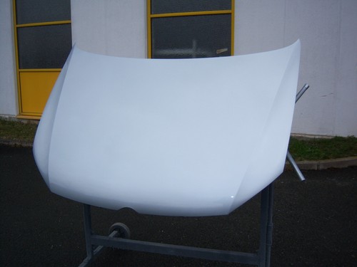 Motorhaube lackiert - motorhaube,