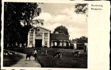 Ak Neustrelitz Mecklenburg