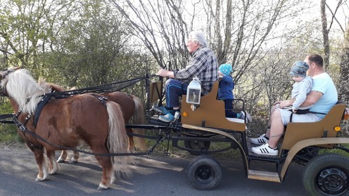 Ponygespann mit geschirr und - mit,