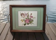 Pimpernel dekoratives Blumen