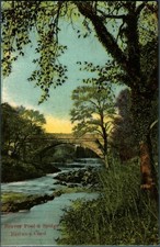 Biber Pool & Brücke Bettws Y