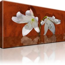 Weiße Lilien Blumen Bild Bilder Leinwand Wandbild Kunstdruck