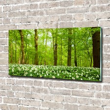 Acrylglas-Bild Wandbilder