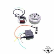 Elektronische Zündung CDI 12V