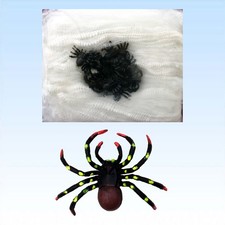 Große spinne mit spinnennetz - mit,