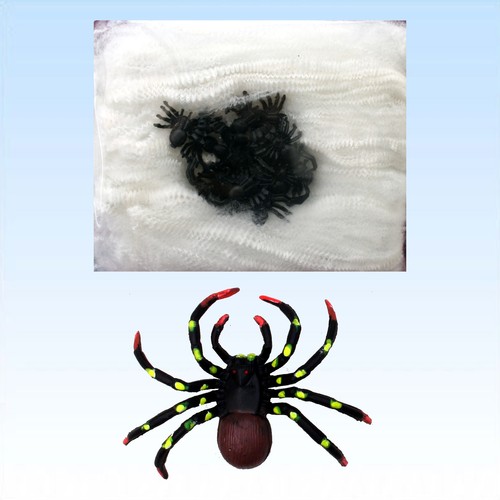 Große spinne mit spinnennetz - große,