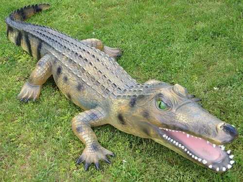 Krokodil alligator lebensgroß - alligator,