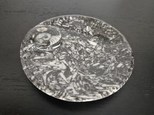 Ammonit fossil dekor schale - ammonit,