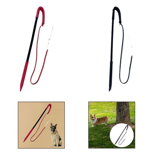 Hundetraining peitsche - hundetraining,